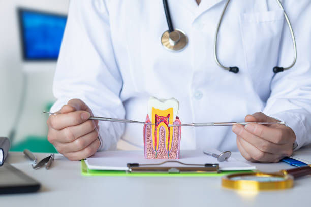 Best Emergency Broken Tooth Repair in Barclay, NJ